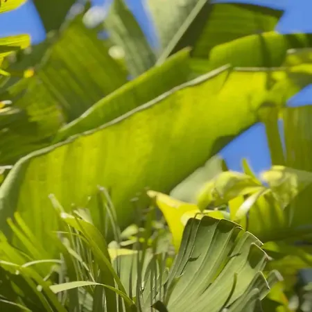 Frühstückspension Sunset Wave - Stagnone Kitesurf Village 4*